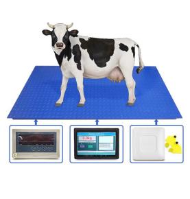 RFID牛耳標辨識秤重系統電子動物秤 RFID動物耳標辨識地秤帶智慧觸控螢幕