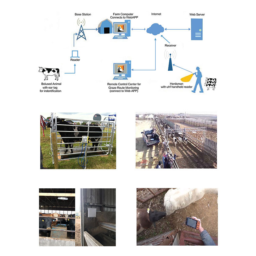 RFID 動物追蹤識別管理系統